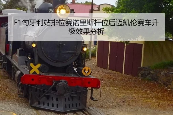 xiong-ya-li-zhan-pai-wei-sai-nuo-li-si-gan-wei-hou-mai-kai-lun-sai-che-sheng-ji-xiao-guo-fen-xi-3-590.jpg