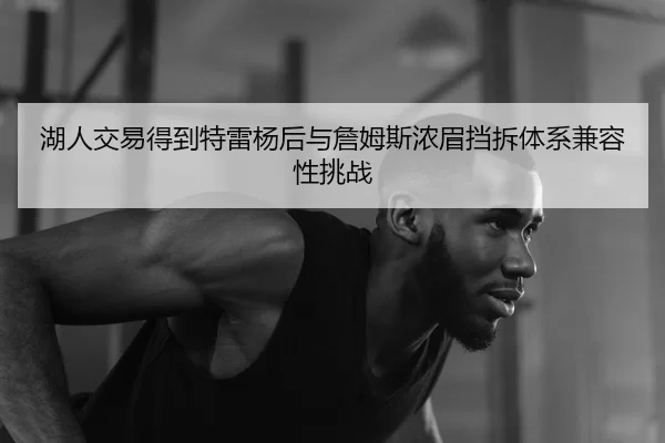 湖人交易得到特雷杨后与詹姆斯浓眉挡拆体系兼容性挑战